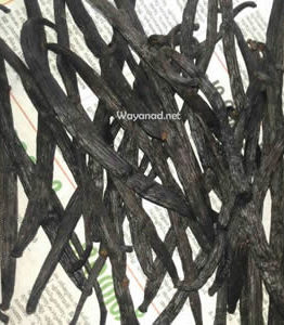 vanilla pods