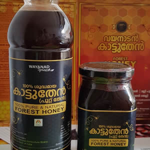 Pure and Natural forest honey (Puttuthen)