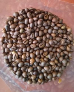 roasted coffee beans robusta